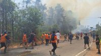 Api Lahap 15 Hektare Kebun dan Dua Rumah di Poso, Pemadaman Masih Berlangsung