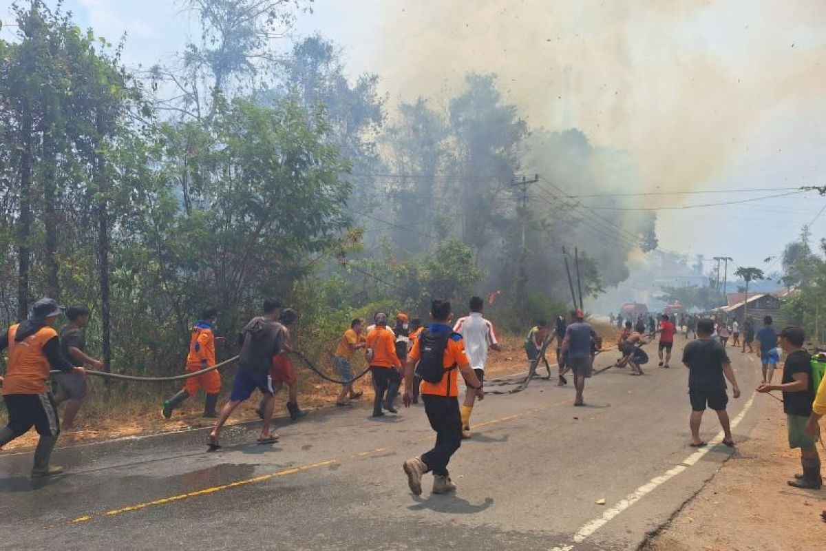 api-lahap-15-hektare-kebun-dan-dua-rumah-di-poso-pemadaman-m Api Lahap 15 Hektare Kebun dan Dua Rumah di Poso, Pemadaman Masih Berlangsung