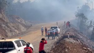 Tim ERT PT CLM dan Manggala Agni Luwu Timur di lokasi karhutla