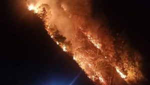 Kebakaran hutan lindung di Battang Barat, Kota Palopo, Sulawesi Selatan