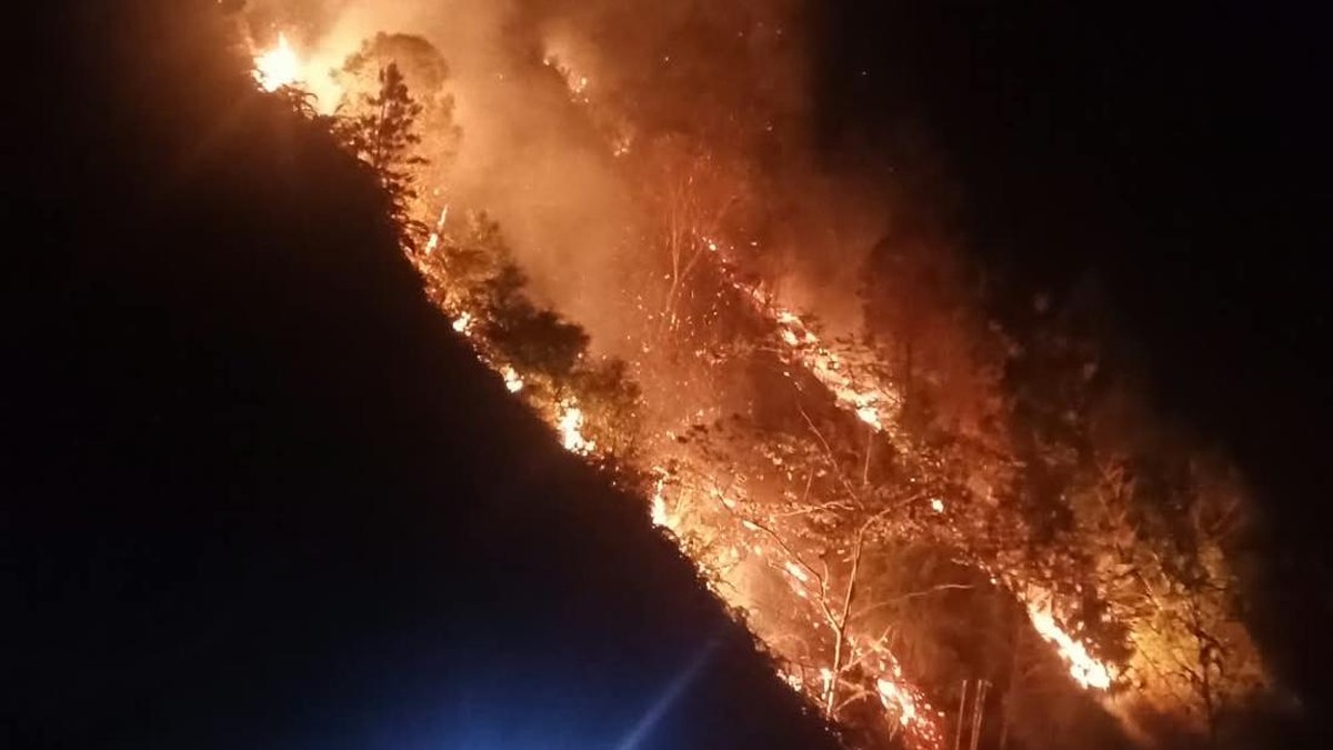Kebakaran hutan lindung di Battang Barat, Kota Palopo, Sulawesi Selatan