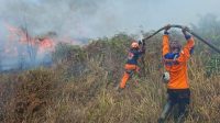 Petugas gabungan memadamkan karhutla di Desa Pasir Putih, Pamona Selatan, Poso