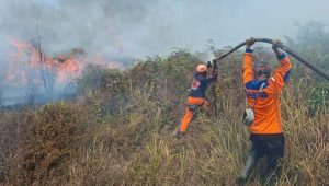 Petugas gabungan memadamkan karhutla di Desa Pasir Putih, Pamona Selatan, Poso