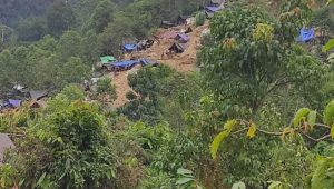Longsor Landa Tambang Emas Ilegal di Poso, Sejumlah Penambang Alami Luka