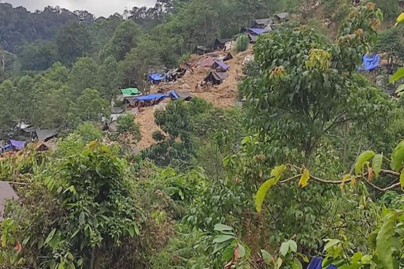 longsor-landa-tambang-emas-ilegal-di-poso-sejumlah-penambang Longsor Landa Tambang Emas Ilegal di Poso, Sejumlah Penambang Alami Luka