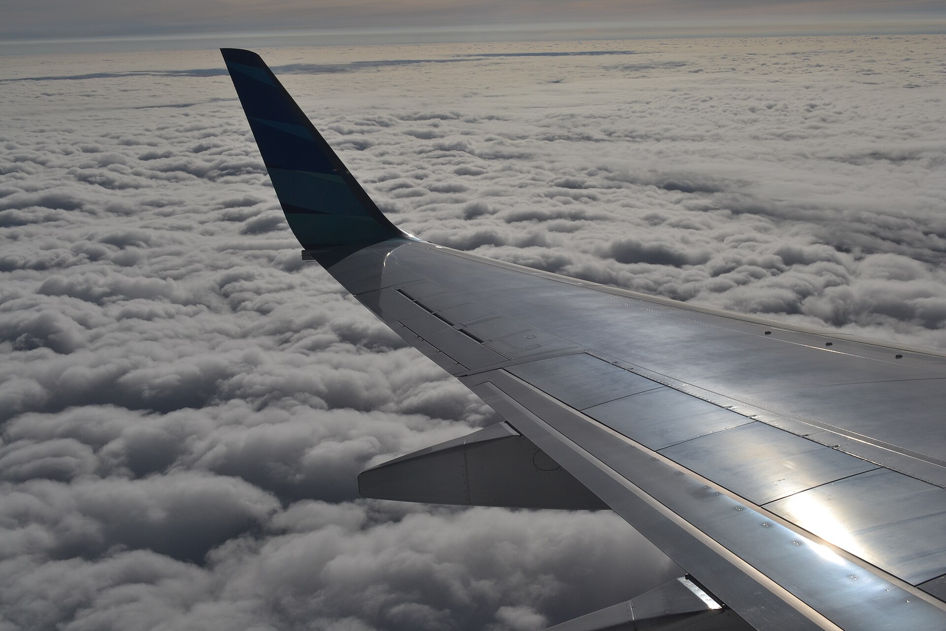 Pesawat Garuda Indonesia Boeing 737-800