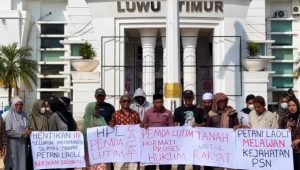 Petani Laoli beraksi di halaman Kantor Bupati Luwu Timur