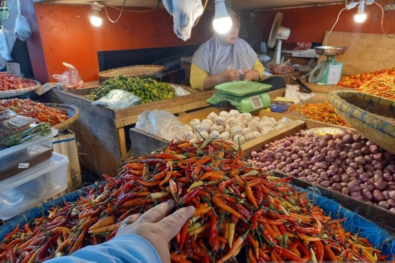 sulut-datangkan-3-000-kg-cabai-rawit-dari-makassar-harga-di Sulut Datangkan 3.000 Kg Cabai Rawit dari Makassar, Harga di Manado Ditarget Turun