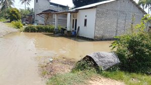 Tanggul Jebol, 90 Rumah di Tomoli Utara Terendam, Jalan Trans Sulawesi Lumpuh