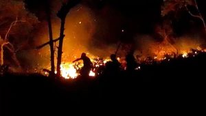 Api Belum Padam di Bua, 20 Hektare Lahan Terbakar dan Merambat ke Arah Permukiman