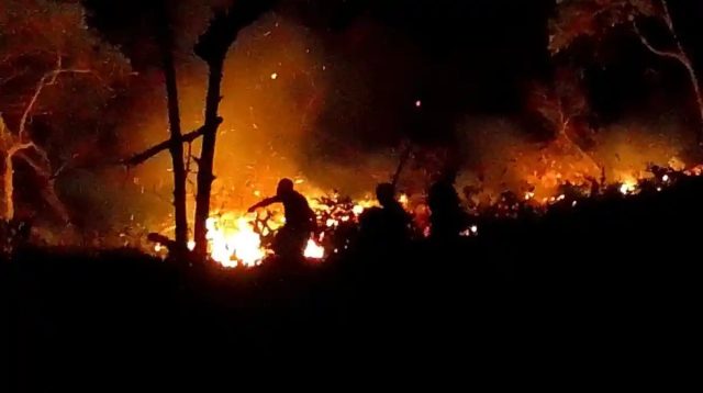 Api Belum Padam di Bua, 20 Hektare Lahan Terbakar dan Merambat ke Arah Permukiman