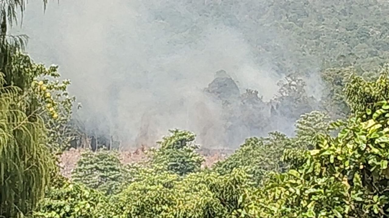 Asap tebal karhutla Puncak Indah Malili