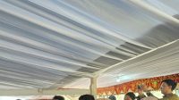 dkp-sulteng-minta-penebaran-nila-danau-poso-dievaluasi-sebel DKP Sulteng Minta Penebaran Nila Danau Poso Dievaluasi Sebelum Berlanjut