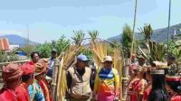 Rampi Tak Lagi Terisolasi, Mobil Pertama Berhasil Tembus Jalur Darat Luwu Utara