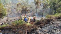 karhutla-puncak-indah-hari-ketiga-damkar Personel Damkar Luwu Timur memadamkan karhutla Puncak Indah Malili hari ketiga
