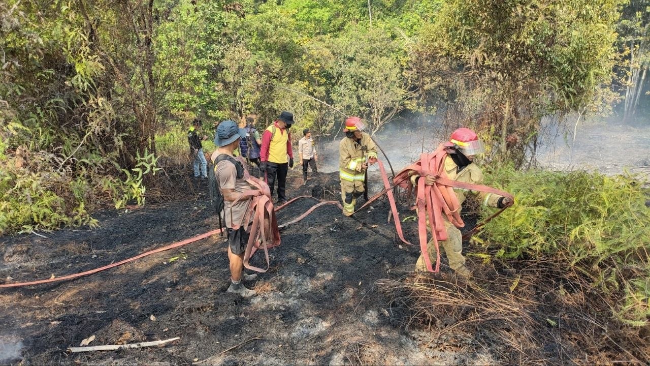 Personel Damkar Luwu Timur dan polisi memadamkan karhutla di Puncak Indah Malili